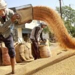 Congress, farmer bodies slam M.P. govt over delay in wheat procurement; BJP blames bag shortage due to West Asia war