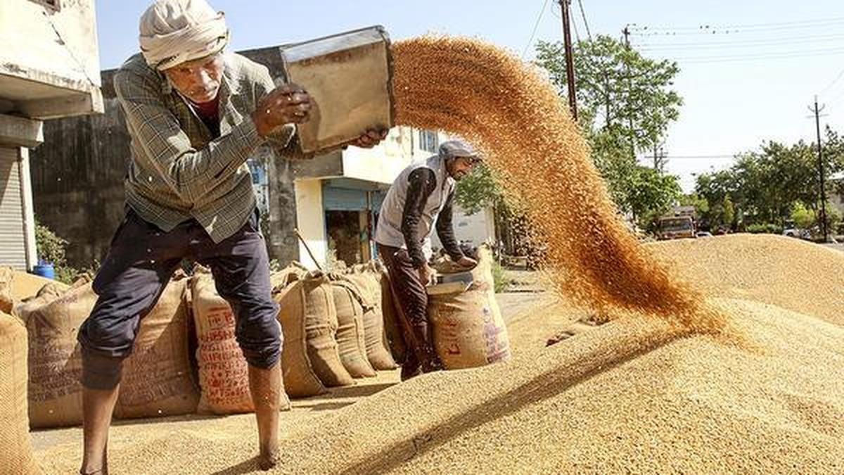Congress, farmer bodies slam M.P. govt over delay in wheat procurement; BJP blames bag shortage due to West Asia war